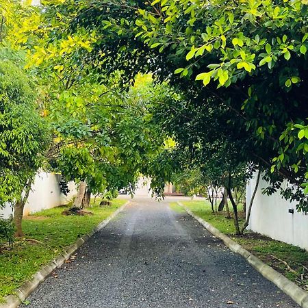 מלון Beverly Beach מיריסה מראה חיצוני תמונה